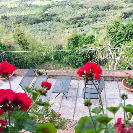 Tenuta Di Montemassi Fattoria 外观 照片